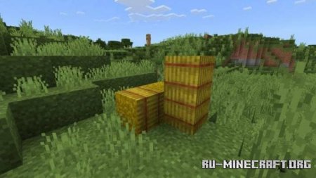 ������� ����������� � ����������� ��������� ��� Minecraft PE 26.30