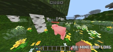 ������� ������� �������� ��� ������ ��� Minecraft PE 26.30