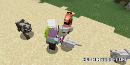 ������� Call of Companions ��� Minecraft 26.2