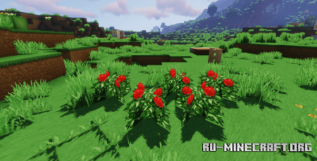 ������� Soartex Grove ��� Minecraft 26.2