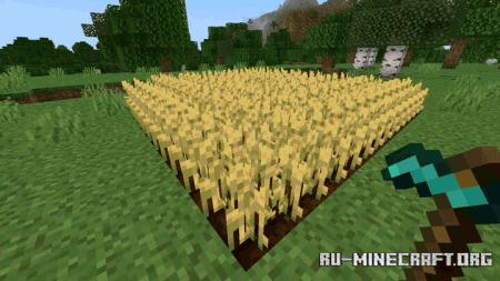 ������� ����� ����������� ��� ������ ��� Minecraft PE 26.30