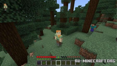 ������� �������� ���������� ��� Minecraft PE 26.0