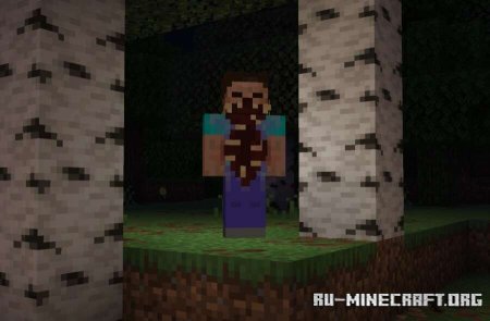 ������� �������� ���������� ��� Minecraft PE 26.0