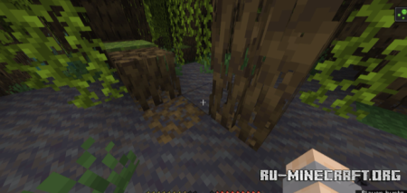 ������� Salmon Hearts ��� Minecraft 26.2