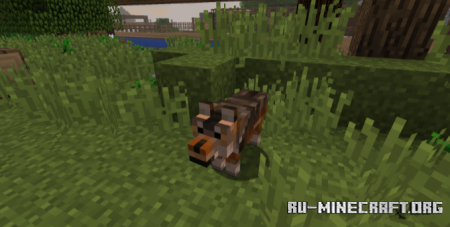 ������� North American Wildlife ��� Minecraft 1.12.2