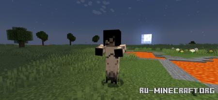 ������� WU Shuangcb�s Zombie Skin ��� Minecraft 1.21