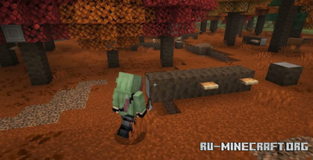 ������� No Figura ��� Minecraft 26.3