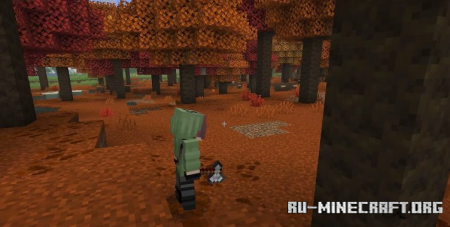 ������� No Figura ��� Minecraft 26.3