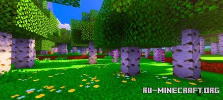 ������� ����� ������ ���� ��� Minecraft PE 26.0